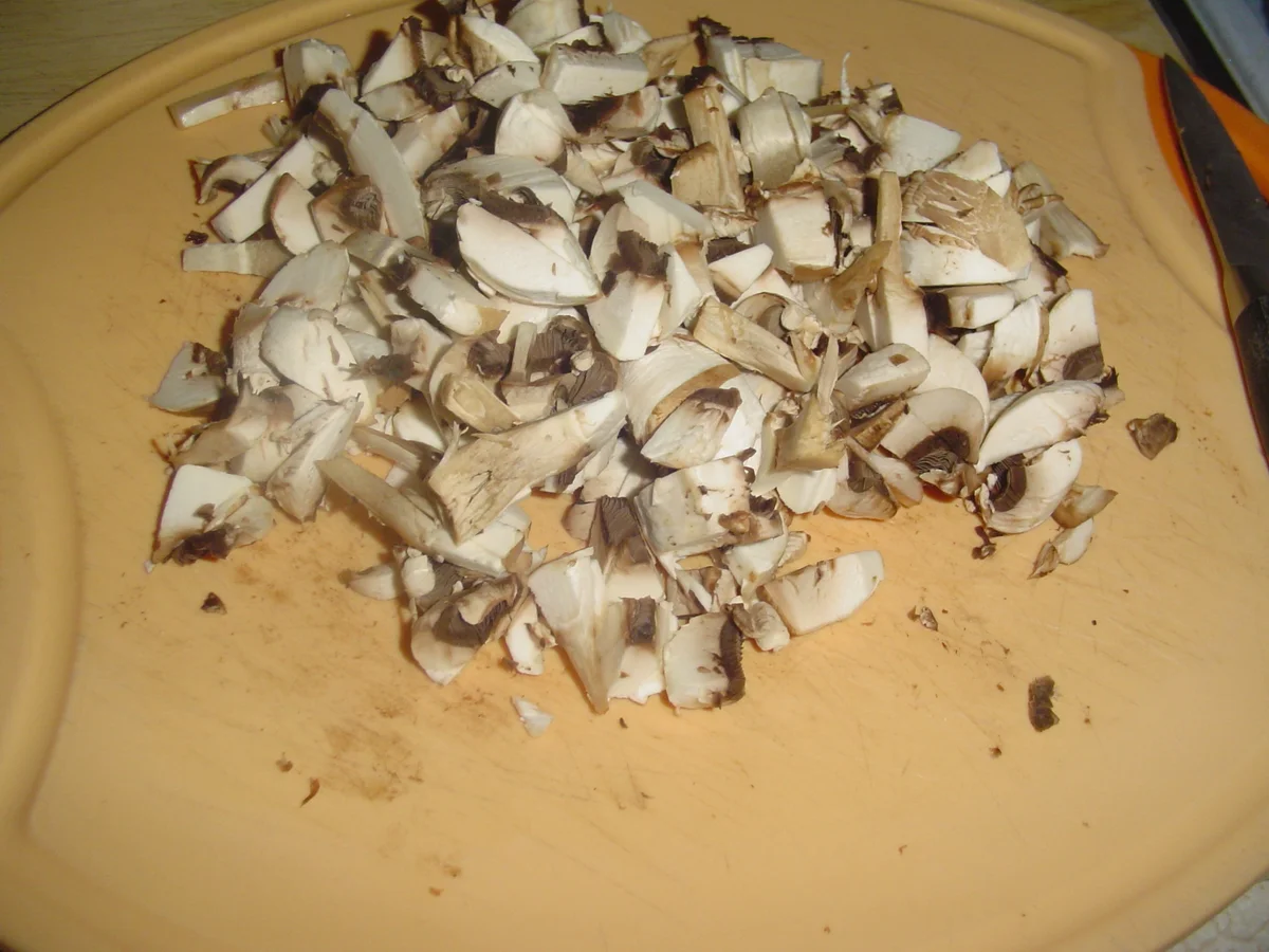 Puteninnenfilet in Schwammerlsauce - Rezept - Bild Nr. 77