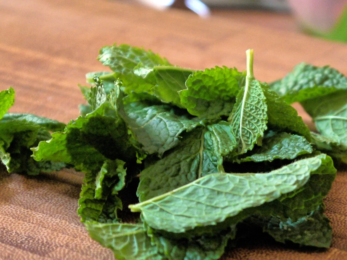 Minz-Erdbeer-Mousse - Rezept - Bild Nr. 76