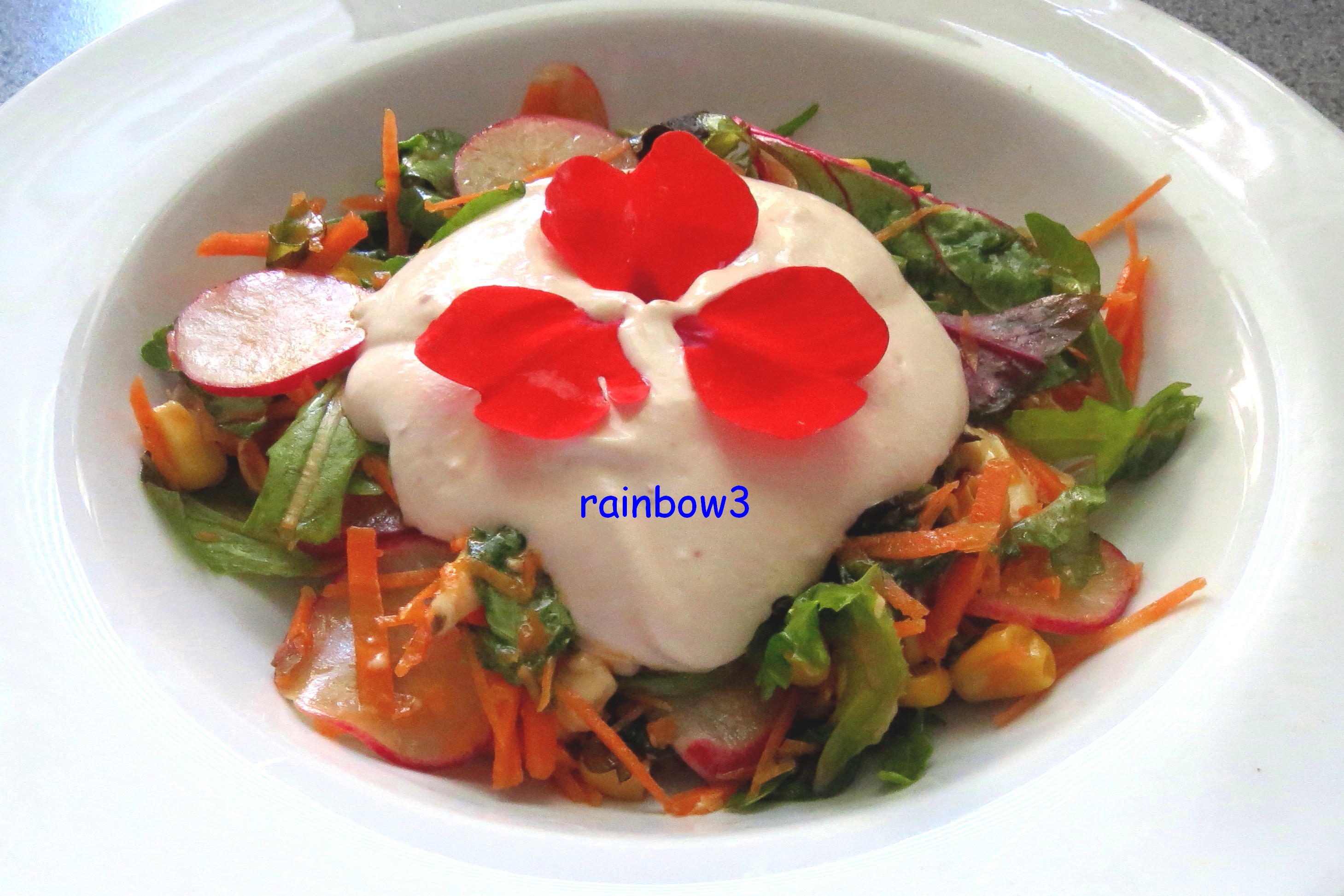 Bilder für Salat: Bunter Rohkost-Salat mit Joghurt-Dressing - Rezept