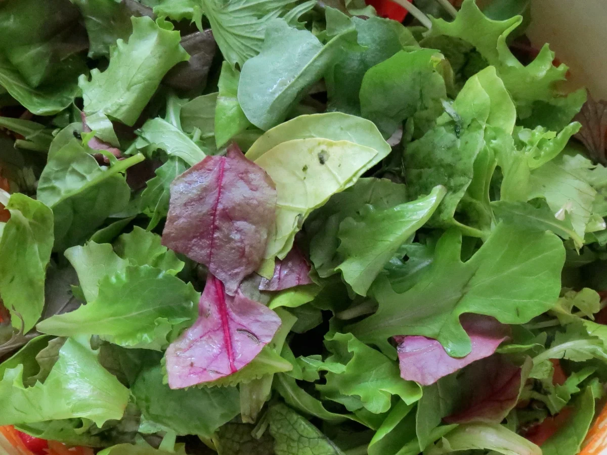 Salat: Bunter Rohkost-Salat mit Joghurt-Dressing - Rezept - Bild Nr. 72