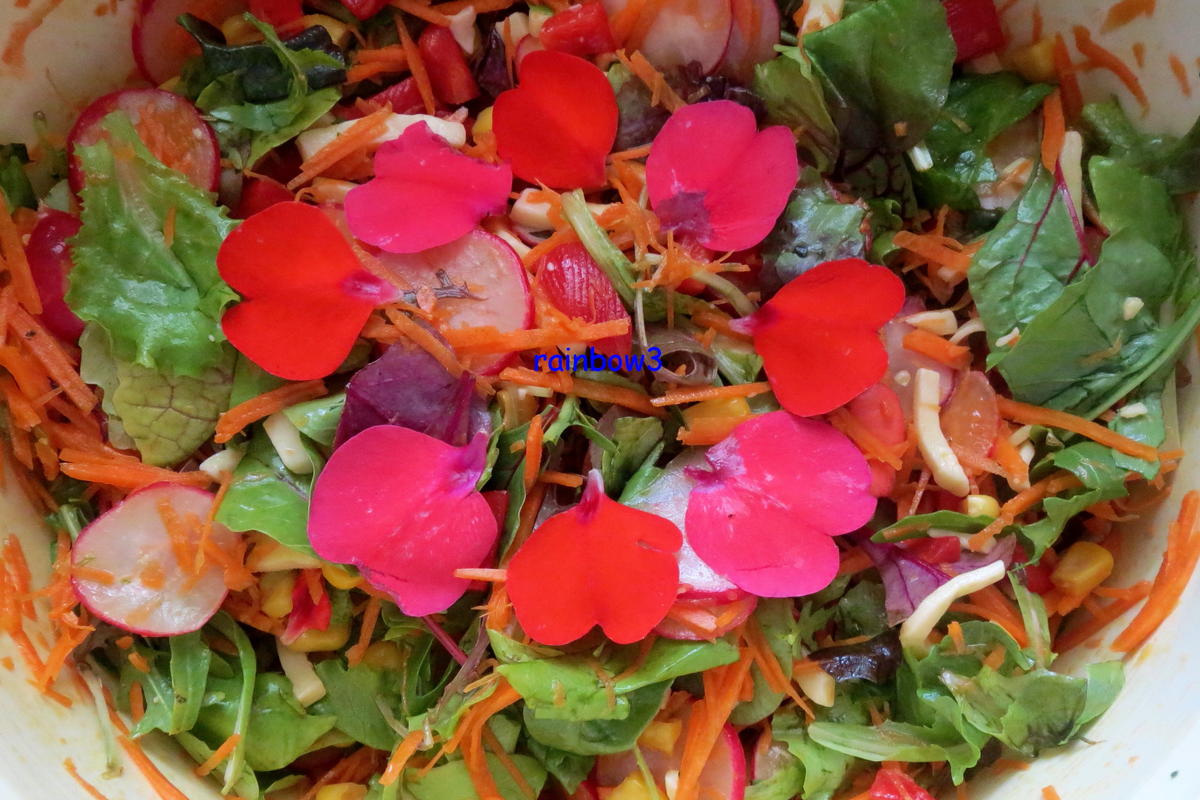 Salat: Bunter Rohkost-Salat mit Joghurt-Dressing - Rezept - Bild Nr. 74