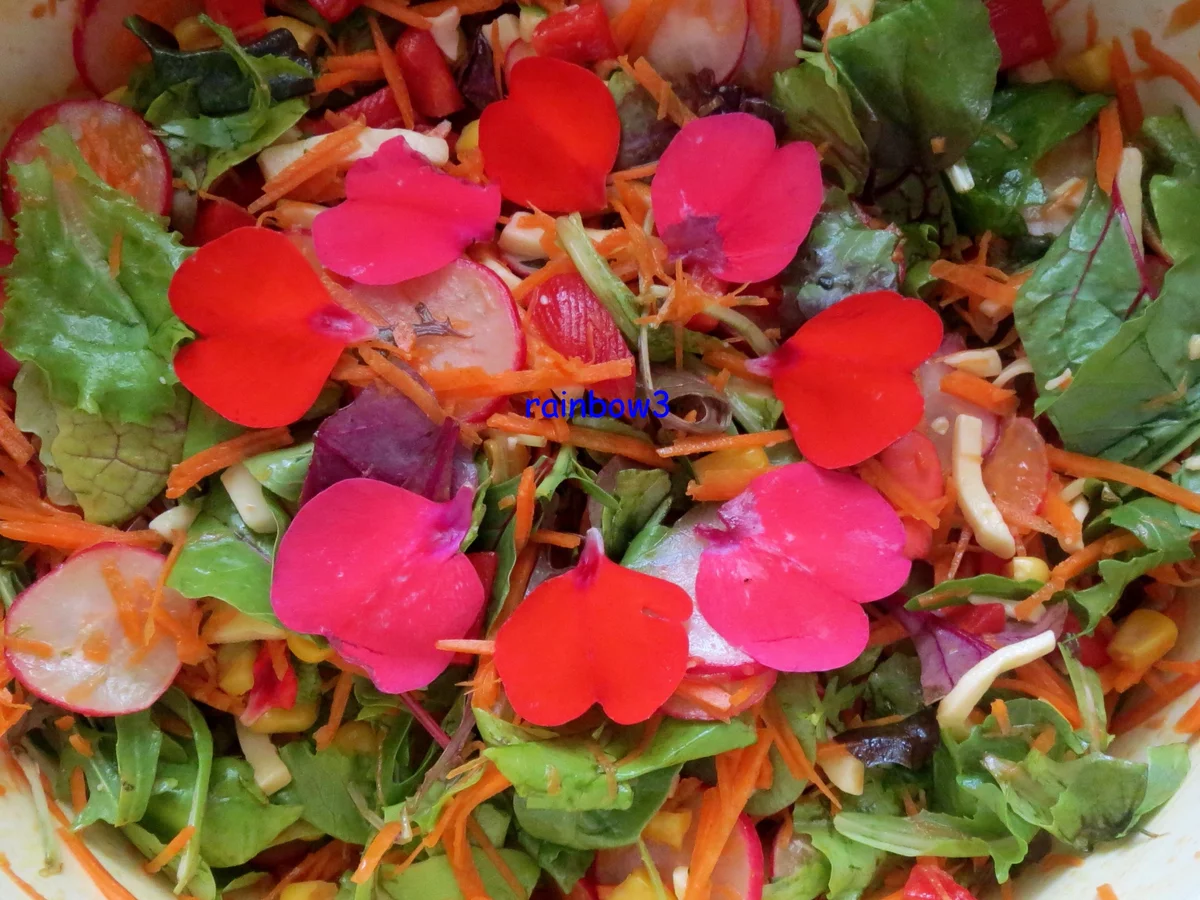 Salat: Bunter Rohkost-Salat mit Joghurt-Dressing - Rezept - Bild Nr. 74