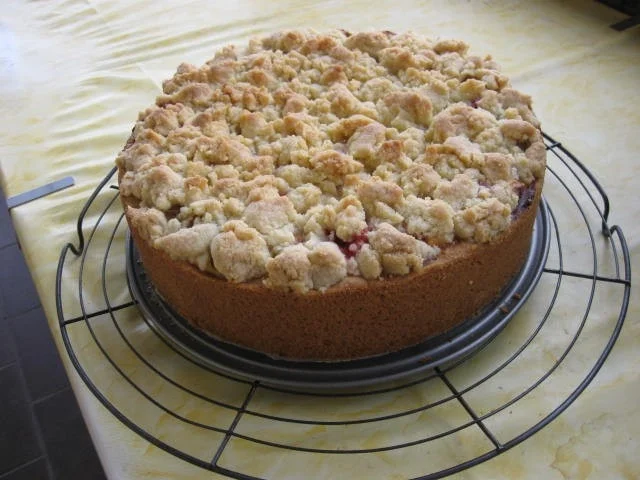 Quark-Streusel-Kuchen mit Rhabarber - Rezept - Bild Nr. 75
