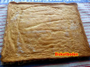 Mau12-Biskuitboden - Rezept - Bild Nr. 113