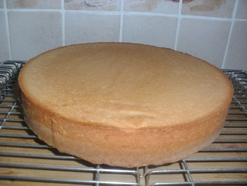 Biskuit Obstboden dick & Erdbeer Torte oder Kuppel - Rezept - Bild Nr. 126