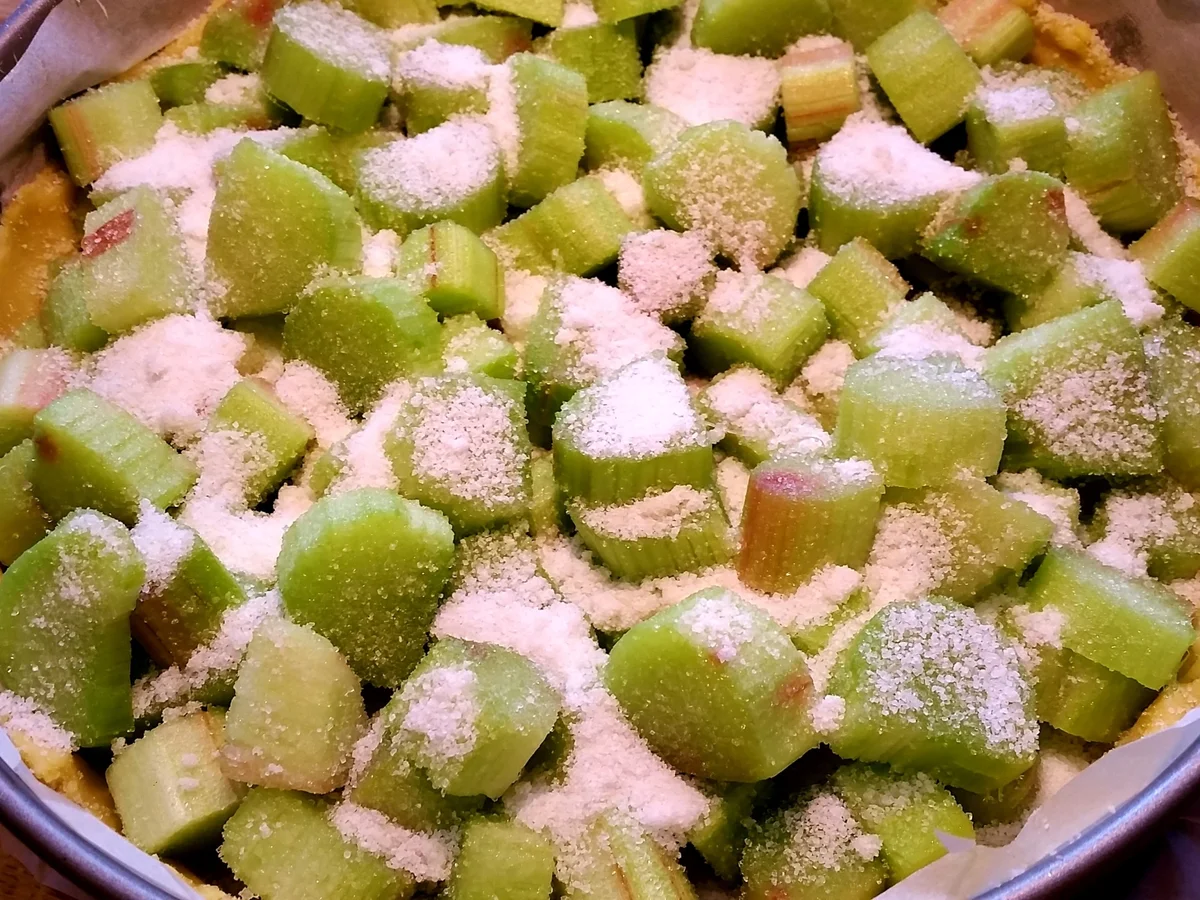 Rhabarber-Streusel-Kuchen - Rezept - Bild Nr. 200