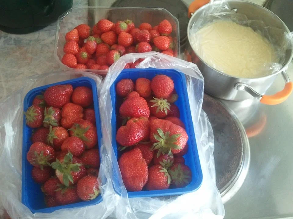 Erdbeer Pudding Torte - Rezept - Bild Nr. 197