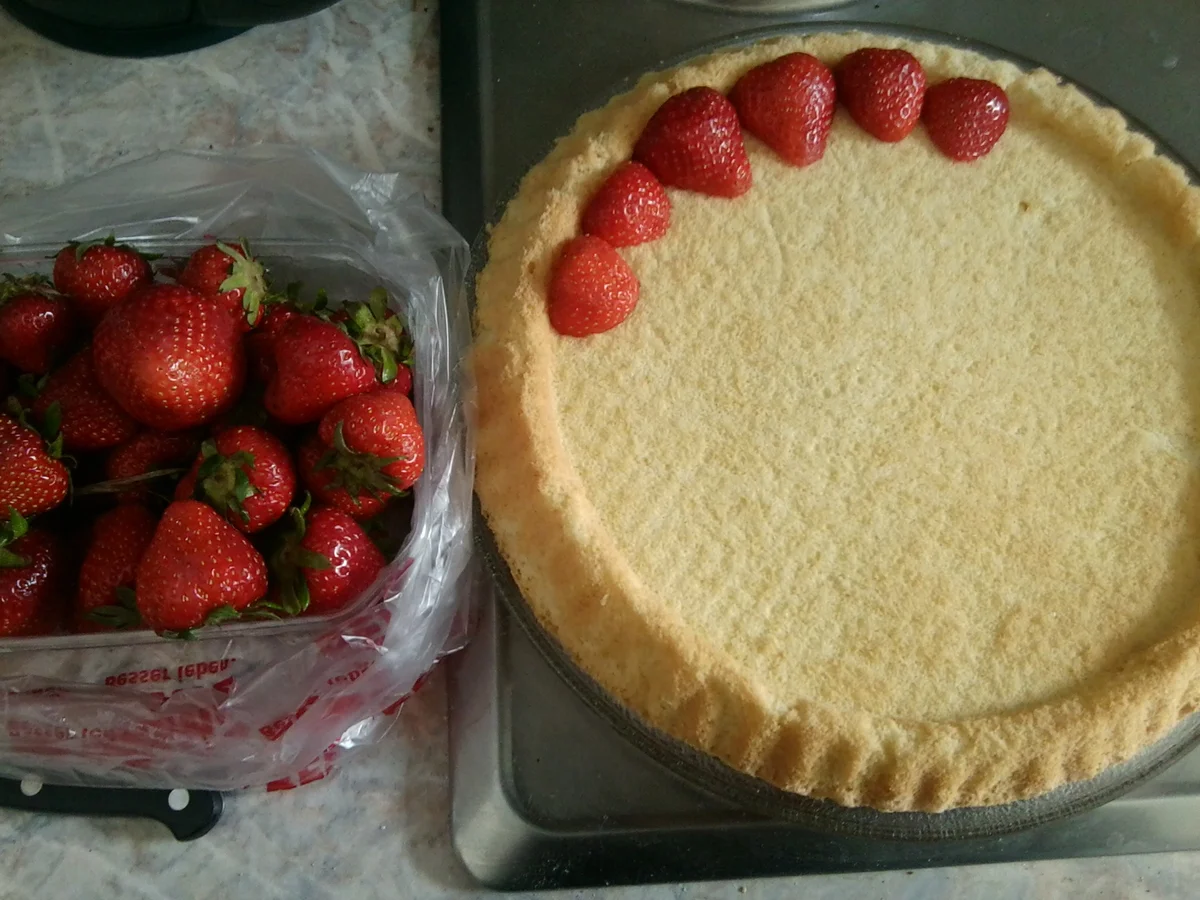 Erdbeer Pudding Torte - Rezept - Bild Nr. 198