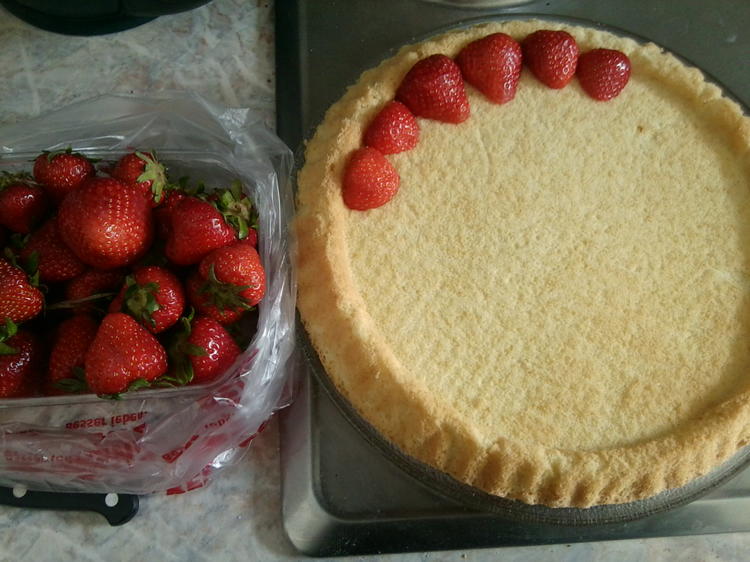 Erdbeer Pudding Torte - Rezept mit Bild - kochbar.de