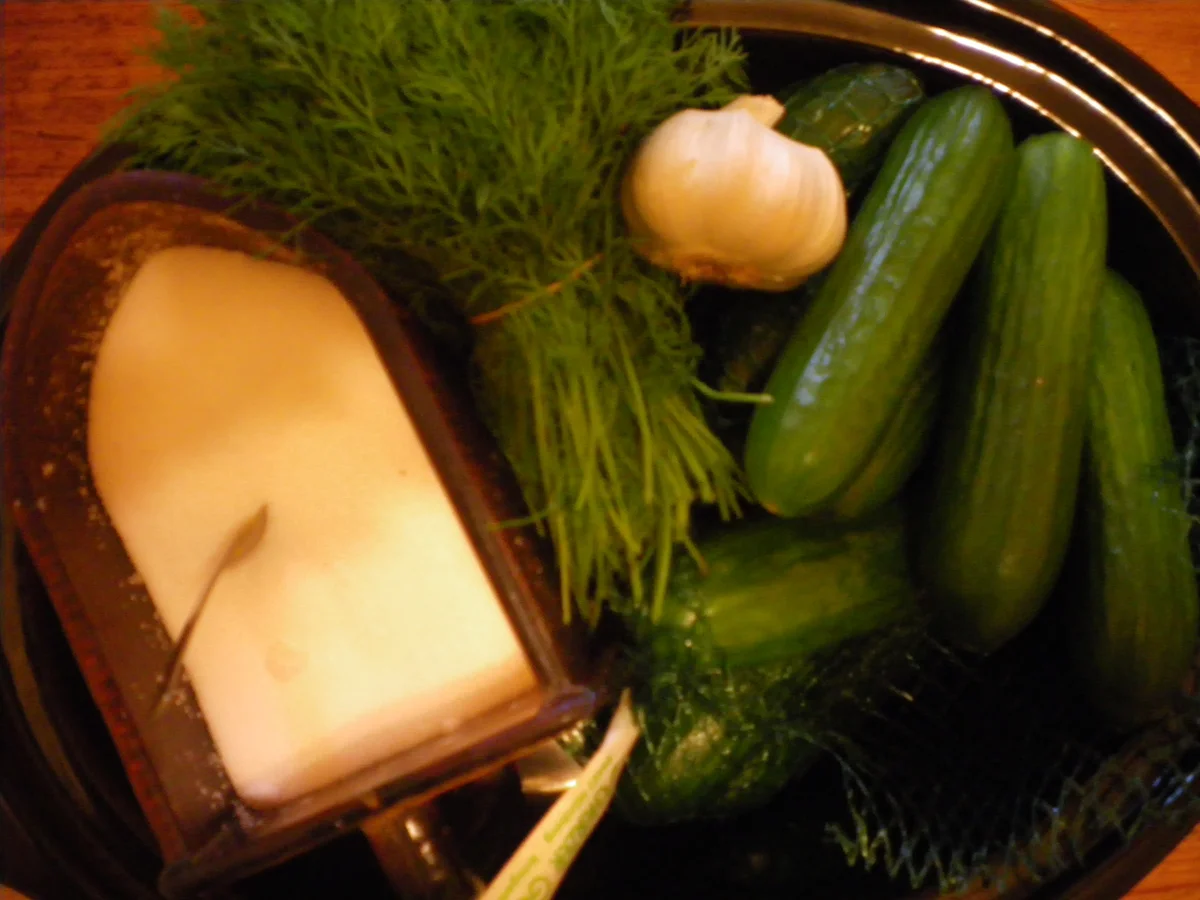 Rezept: jüdische dillgurken Bild Nr. 232 jüdische dillgurken - Rezept - Bild Nr. 232