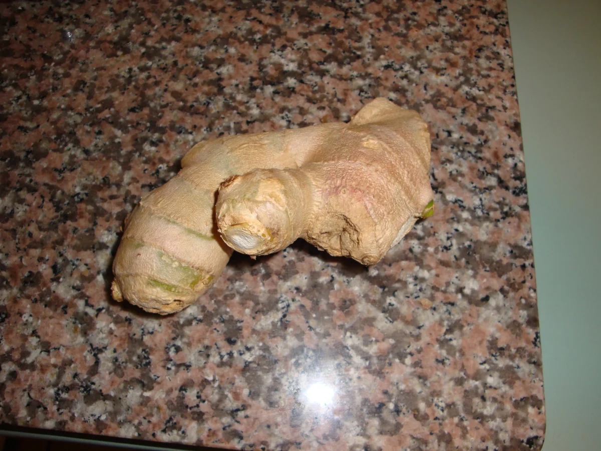 Grüner Smoothie - Rezept - Bild Nr. 271