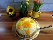 Mazu12-Mandarin - Speisequark - Schütteltorte - Rezept - Bild Nr. 292