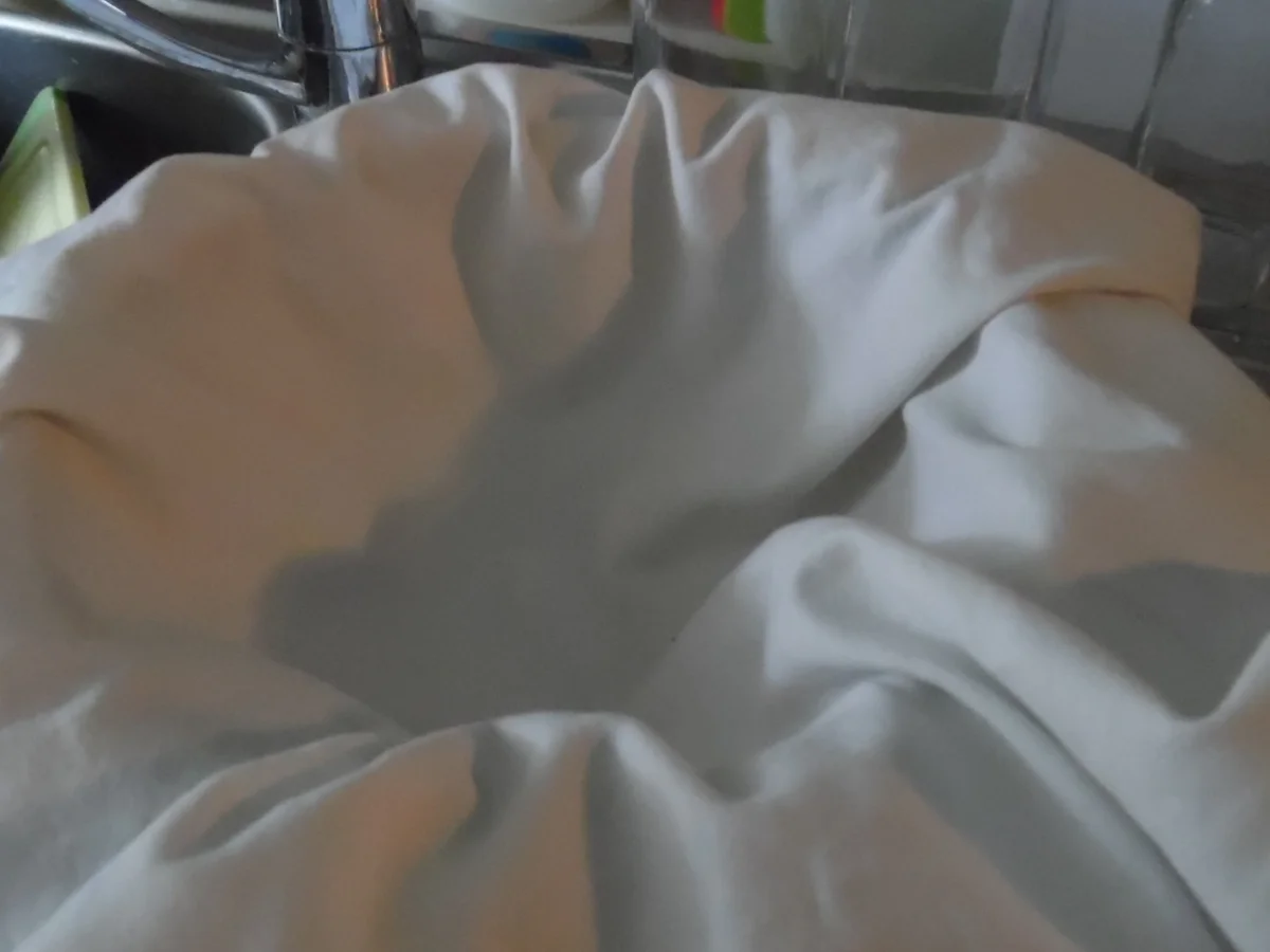 Pfefferminz-Sirup - Rezept - Bild Nr. 305