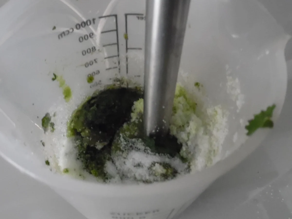 Pfefferminz-Sirup - Rezept - Bild Nr. 308