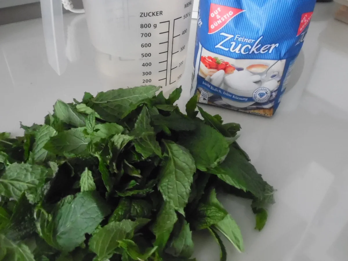 Pfefferminz-Sirup - Rezept - Bild Nr. 310