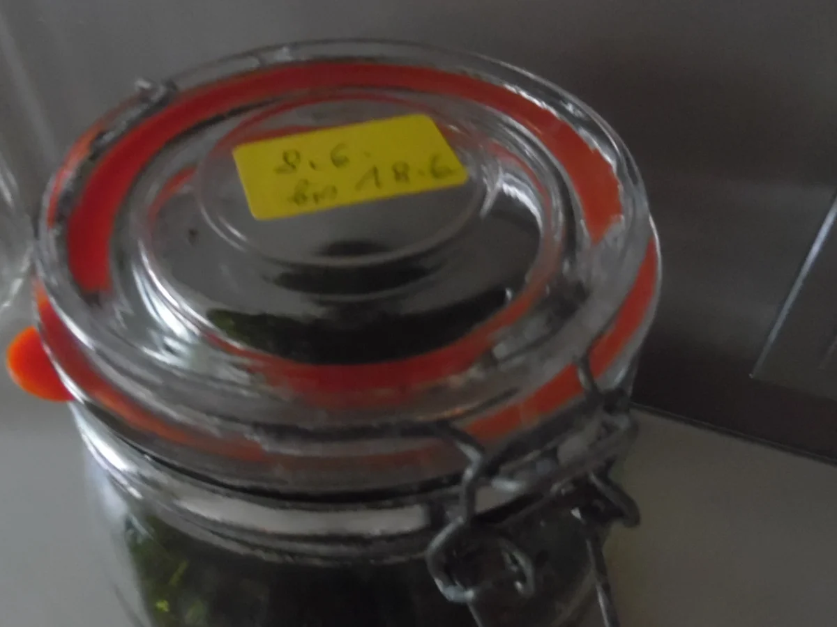 Pfefferminz-Öl - Rezept - Bild Nr. 303