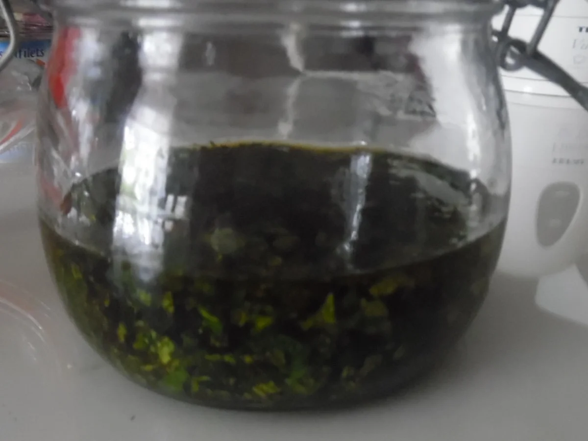 Pfefferminz-Öl - Rezept - Bild Nr. 304