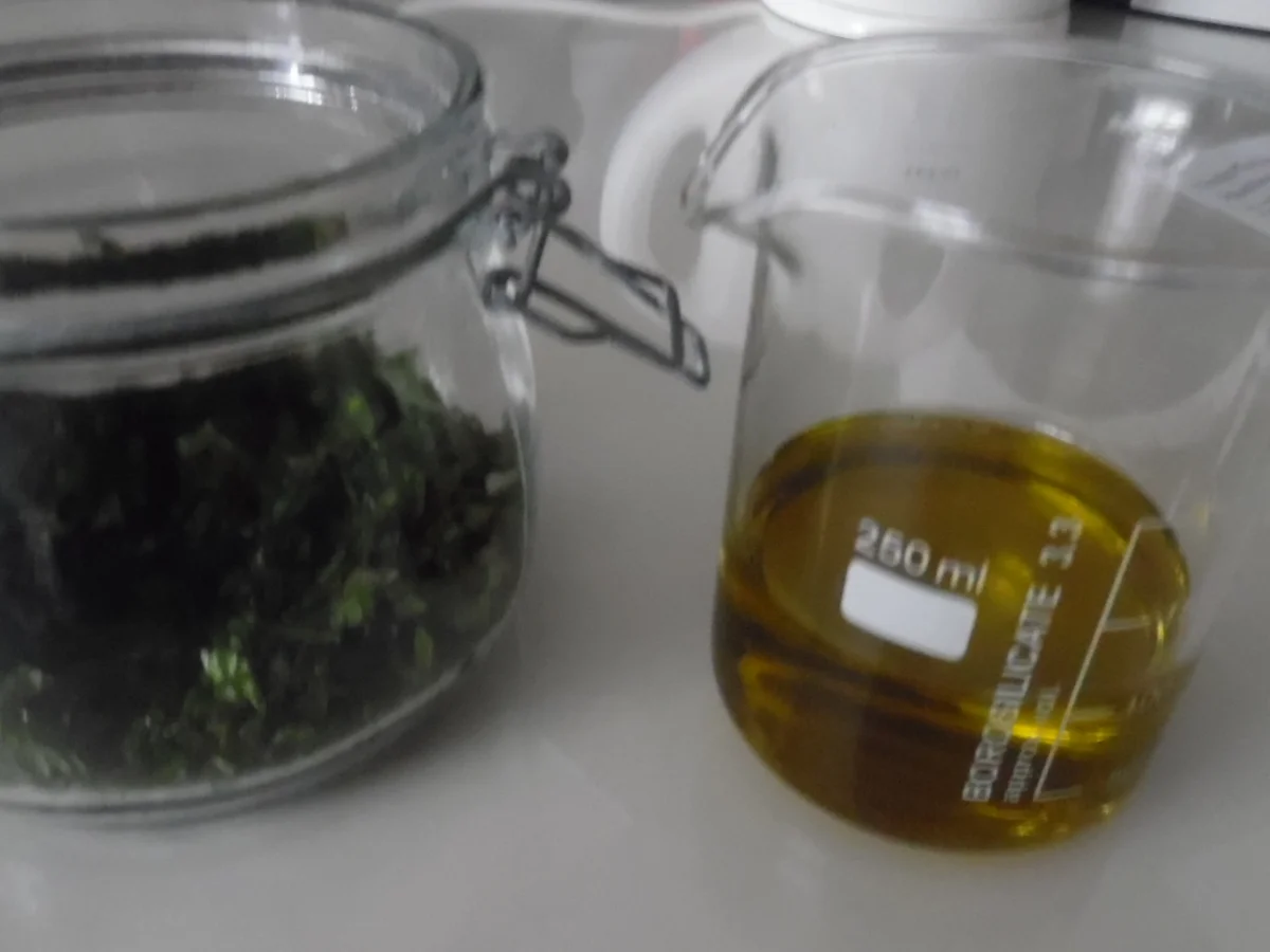 Pfefferminz-Öl - Rezept - Bild Nr. 305