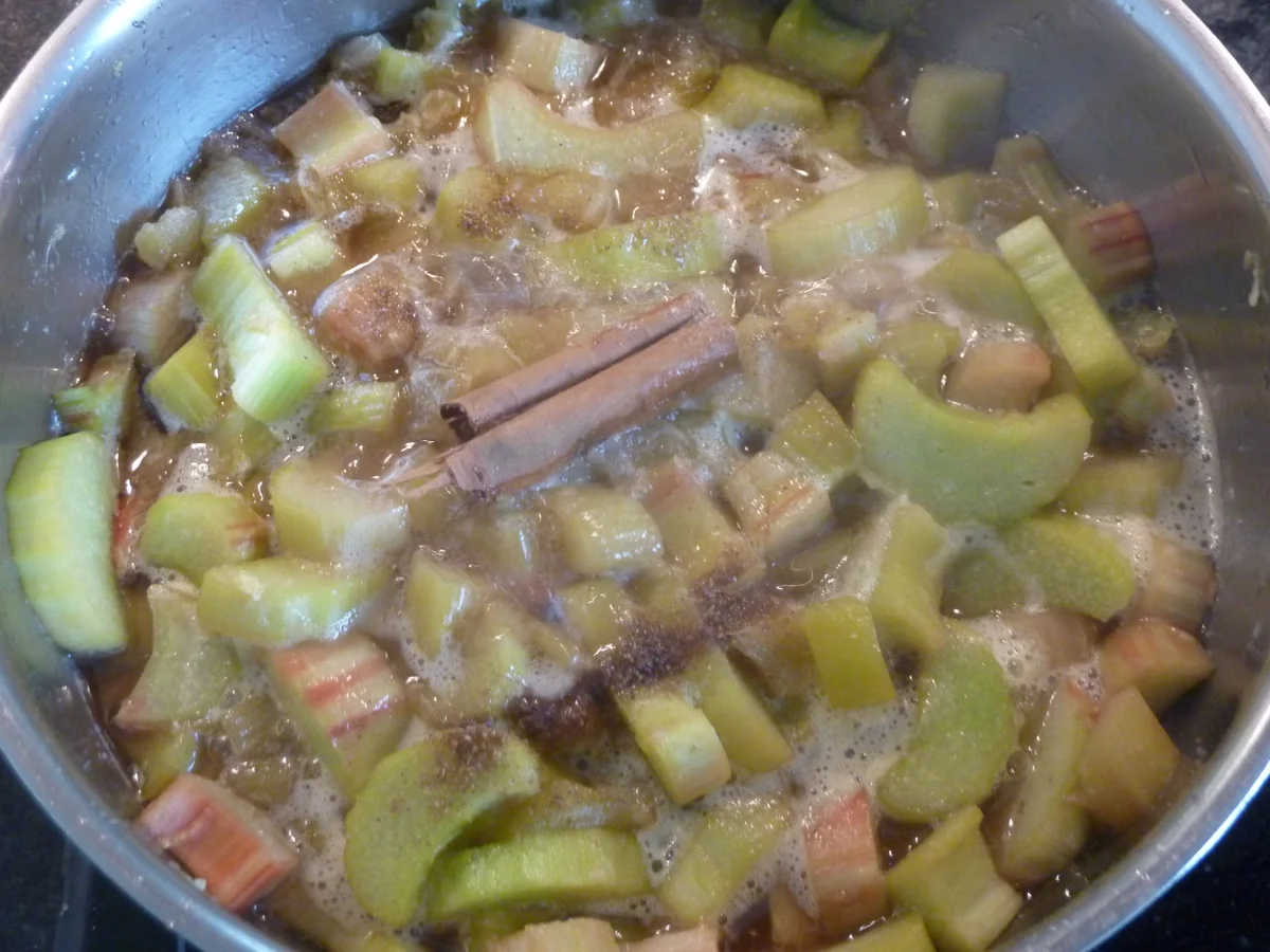 Rezept: Rhabarber Glace mit Erdbeeren Bild Nr. 309 Rhabarber Glace mit Erdbeeren - Rezept - Bild Nr. 309