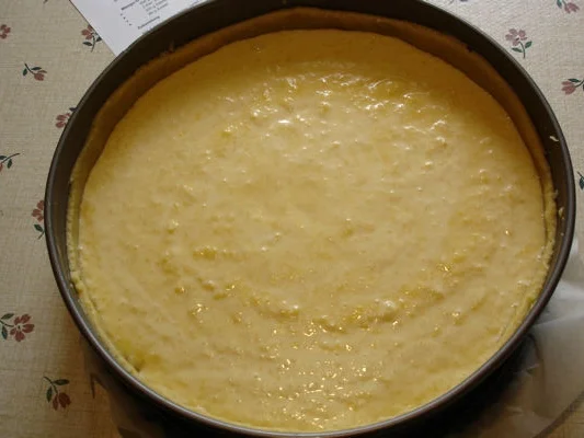 Rezept: Mango-Grießkuchen Bild Nr. 324 Mango-Grießkuchen - Rezept - Bild Nr. 324