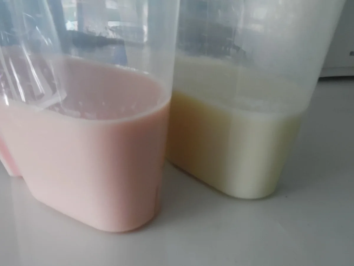 Marshmallow-Eis - Rezept - Bild Nr. 332