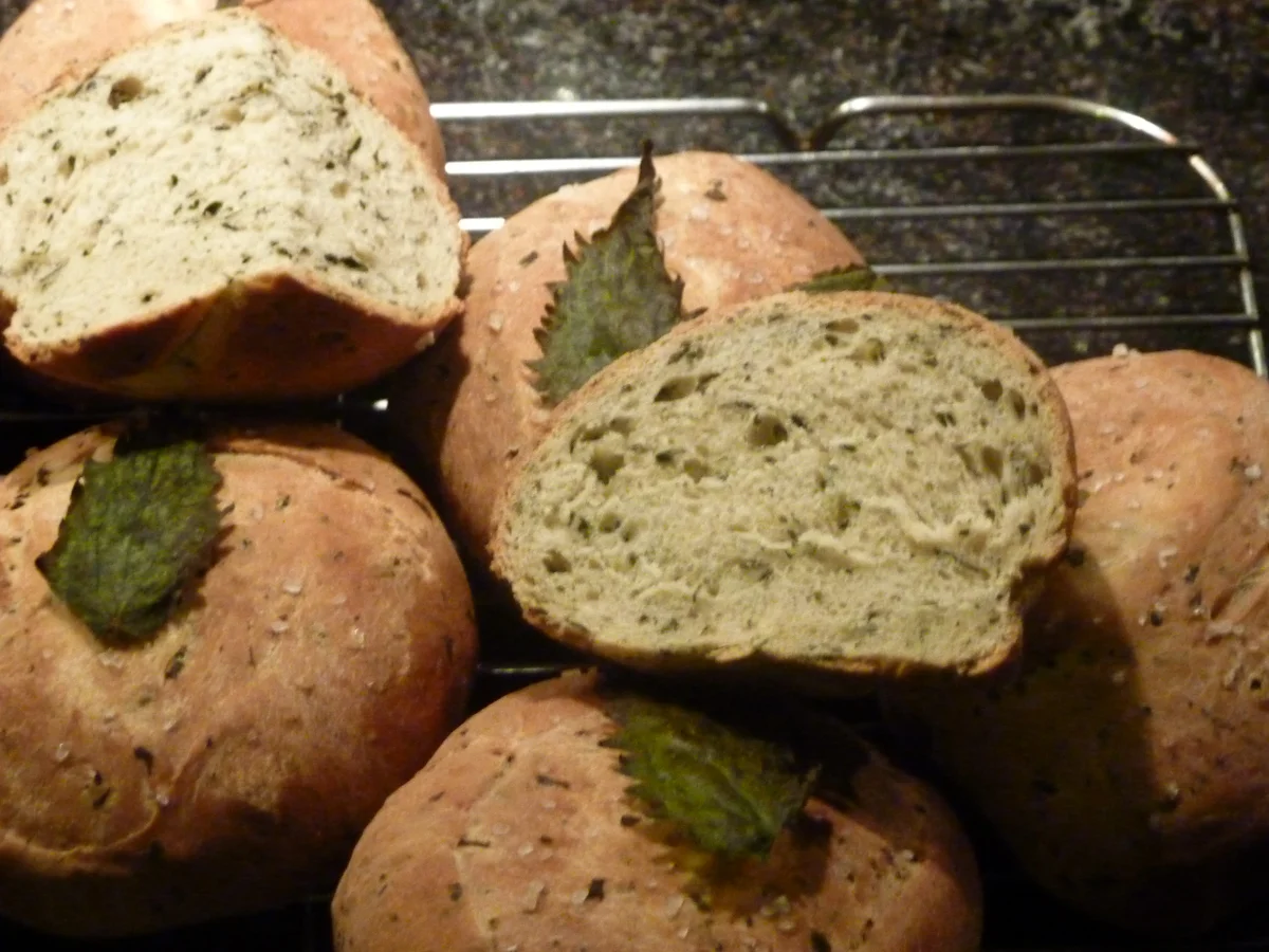 Rezept: Brennnesselbrot Bild Nr. 333 Brennnesselbrot - Rezept - Bild Nr. 333