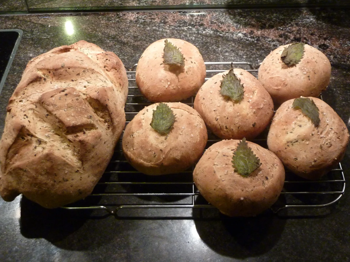 Rezept: Brennnesselbrot Bild Nr. 339 Brennnesselbrot - Rezept - Bild Nr. 339