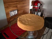 Kuchen: Biskuitboden hell - 1x durchschneiden - Rezept - Bild Nr. 407