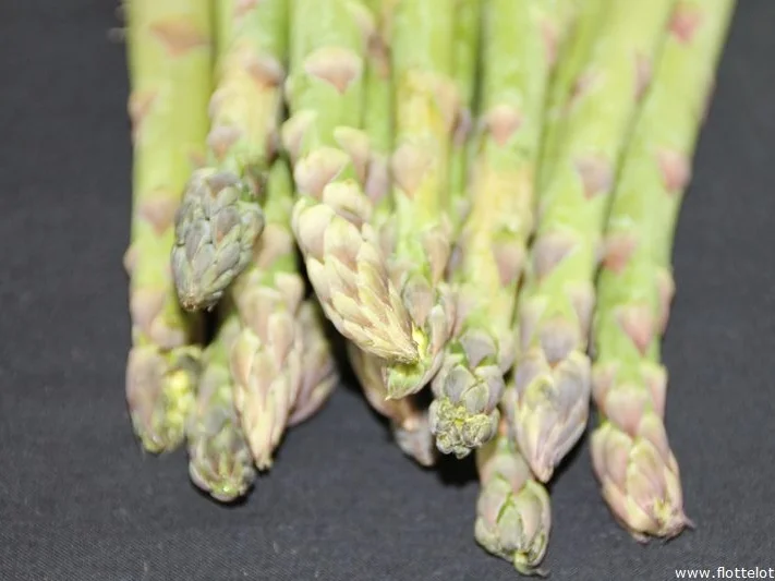 Rezept: Grüne Spargeltarte Bild Nr. 347 Grüne Spargeltarte - Rezept - Bild Nr. 347