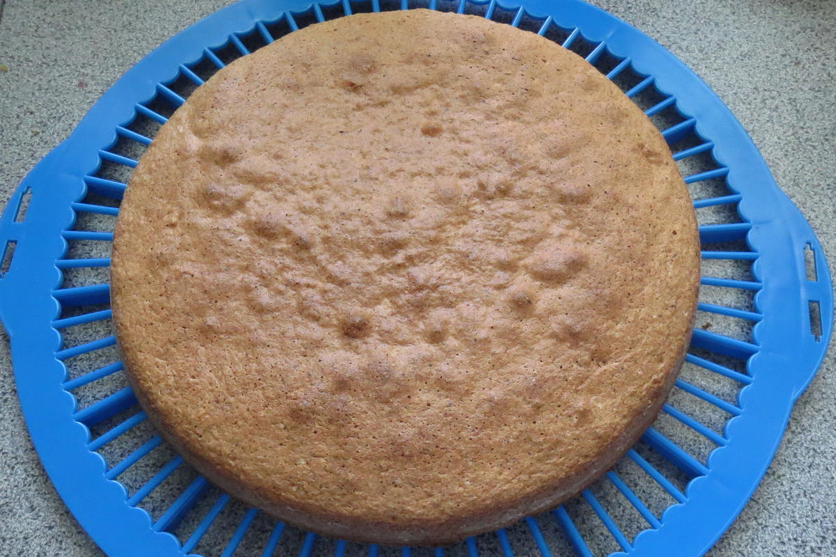 Backen: Nuss-Sahne-Torte - Rezept - Bild Nr. 359