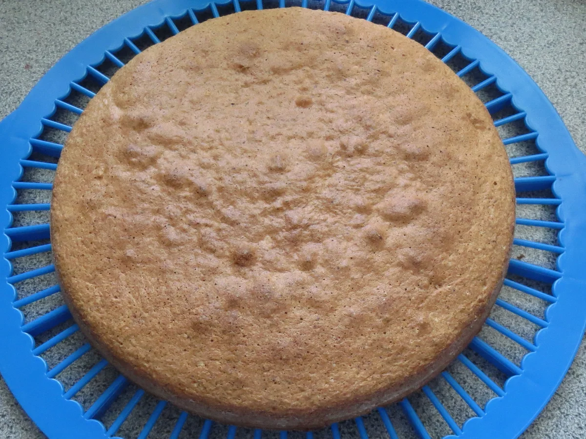 Backen: Nuss-Sahne-Torte - Rezept - Bild Nr. 359