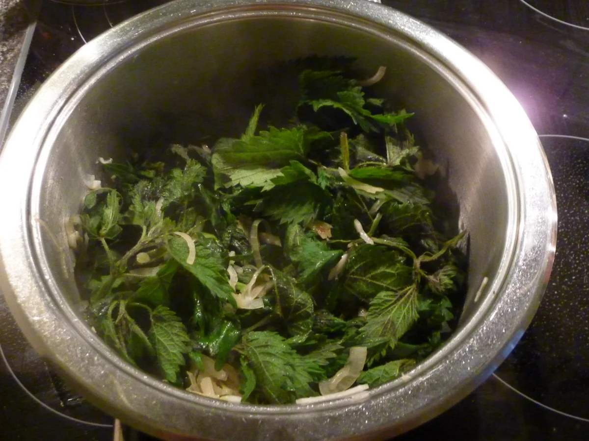 Brennnesselsuppe mit Käsenockerln - Rezept - Bild Nr. 363