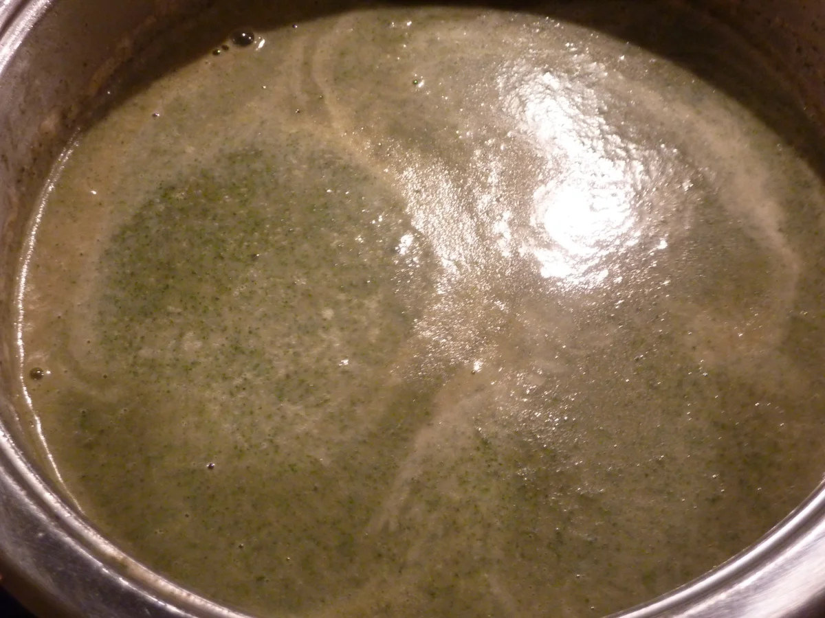 Brennnesselsuppe mit Käsenockerln - Rezept - Bild Nr. 365