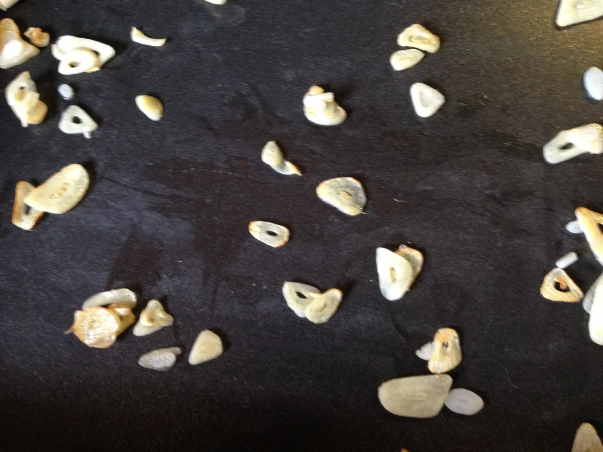 Rezept: Smoky Lemon Duck Bild Nr. 554 Smoky Lemon Duck - Rezept - Bild Nr. 554