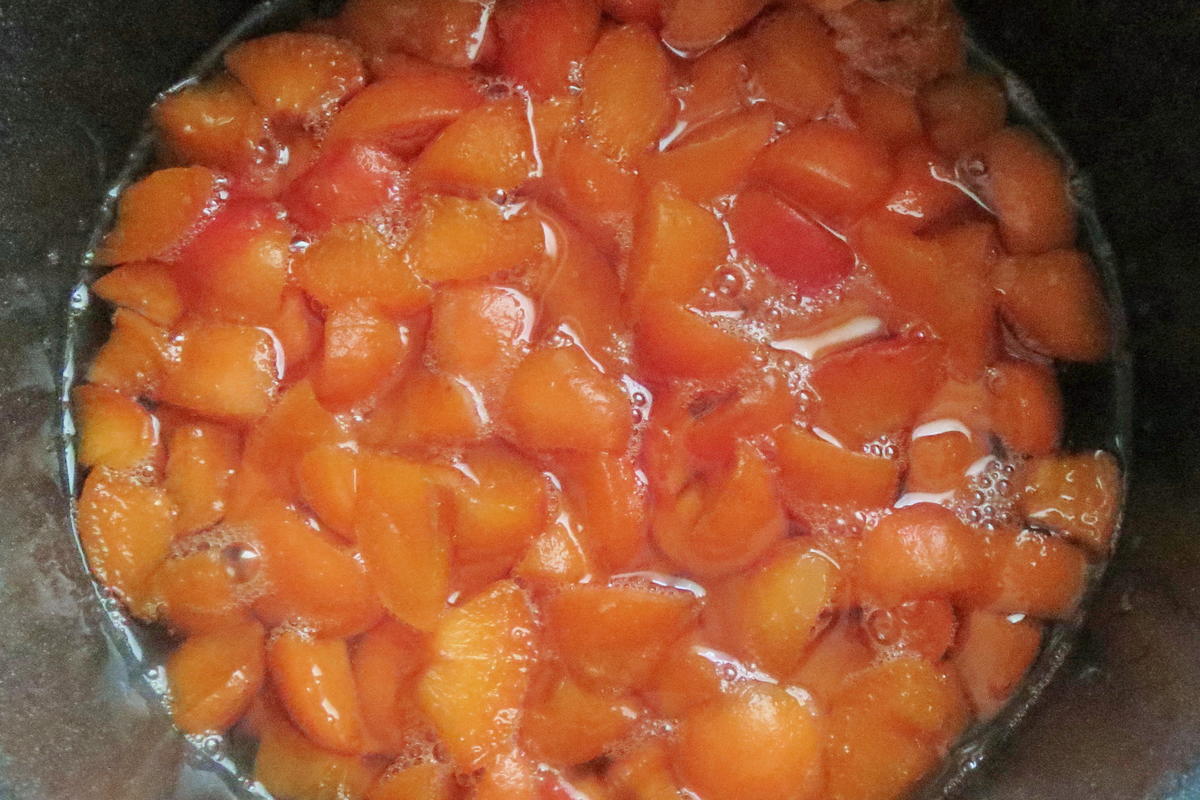 Einmachen: Aprikosen-Marmelade (ohne Gelierzucker) - Rezept - Bild Nr. 520