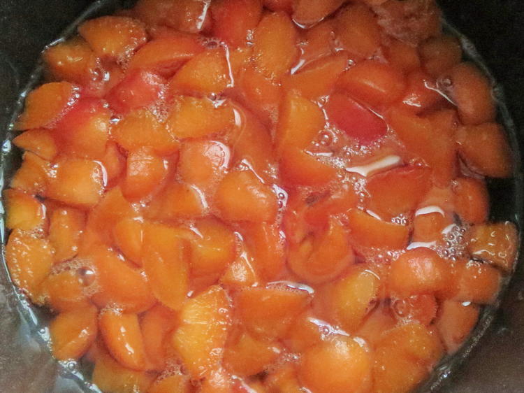 Einmachen: Aprikosen Marmelade ohne Gelierzucker - einfach - von rainbow3