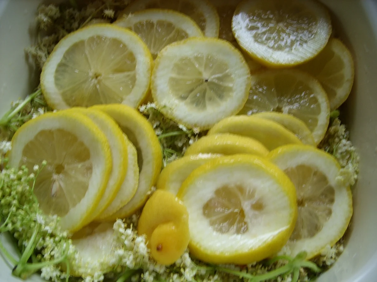 Konfitüre & Co: Wein-Holunderblüten-Gelee - Rezept - Bild Nr. 520