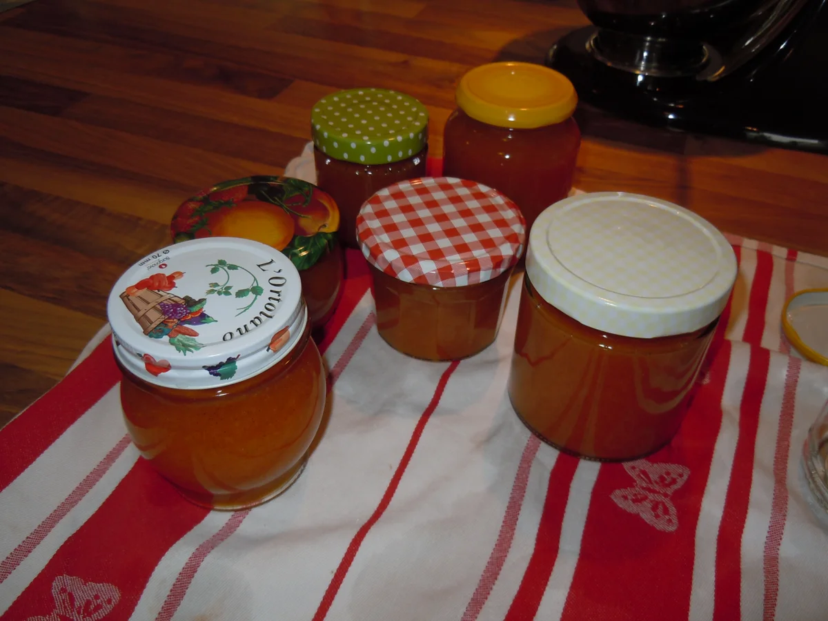 Aprikosen-Vanille-Marmelade - Rezept - Bild Nr. 552