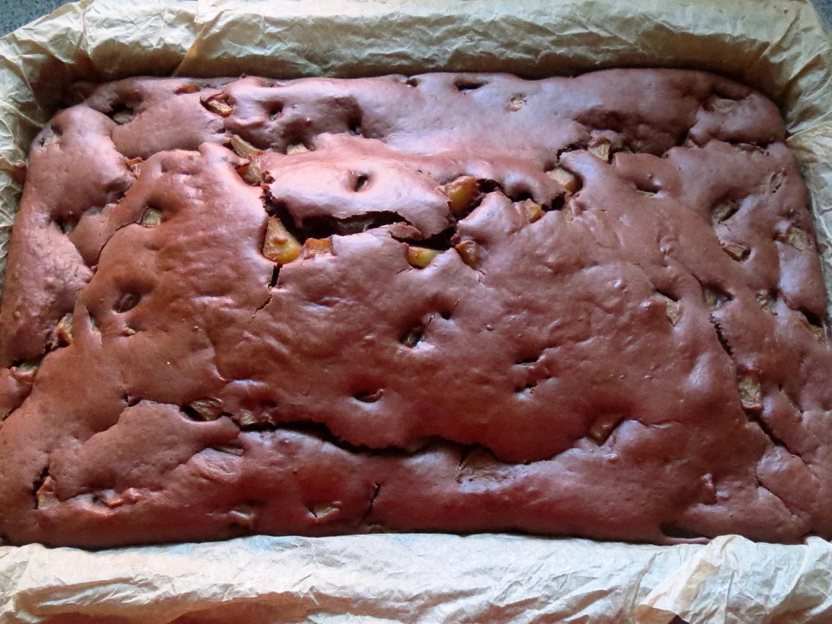 Rezept: Backen: Mini-Schoko-Aprikosen-Kuchen Bild Nr. 559 Backen: Mini-Schoko-Aprikosen-Kuchen - Rezept - Bild Nr. 559