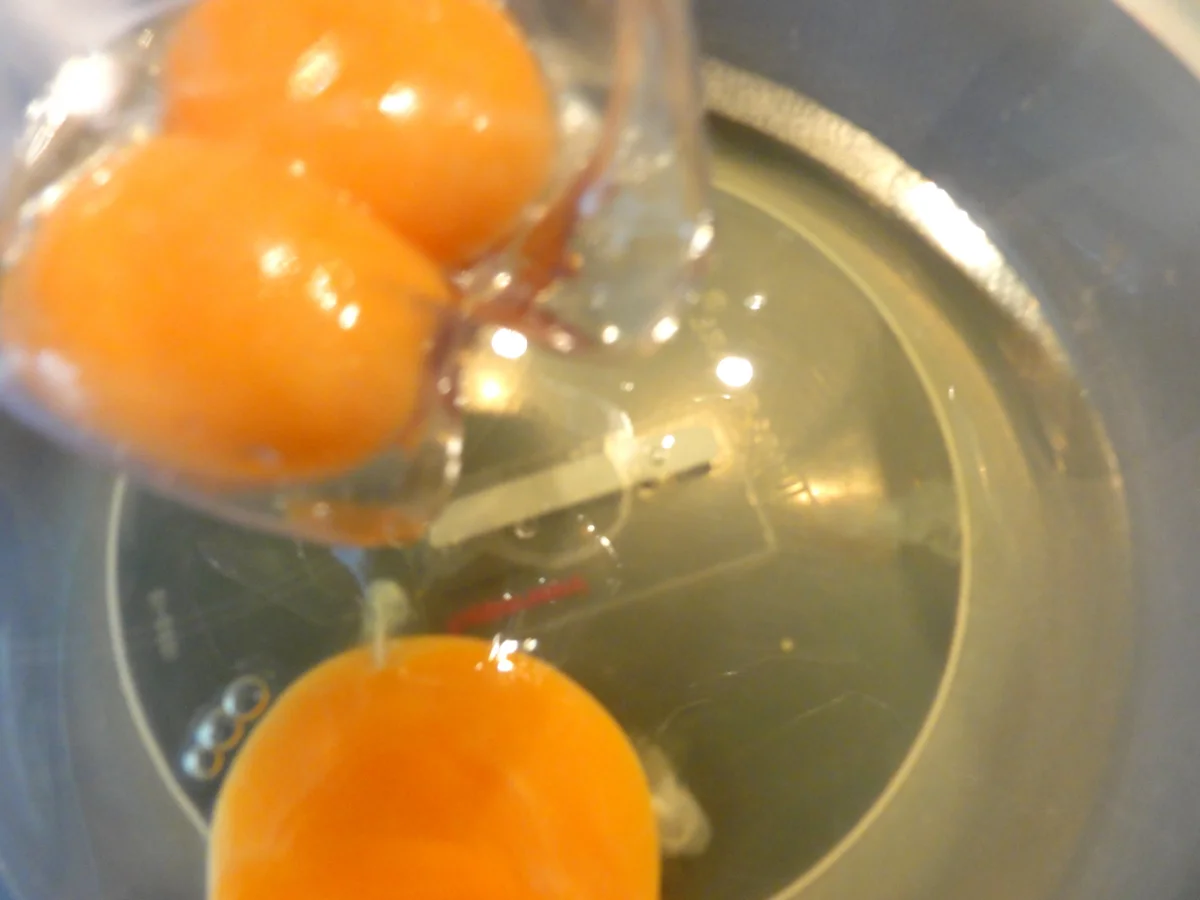 Rezept: Mürbeteig: KÄSEKUCHEN mit Mandarinen Bild Nr. 552 Mürbeteig: KÄSEKUCHEN mit Mandarinen - Rezept - Bild Nr. 552