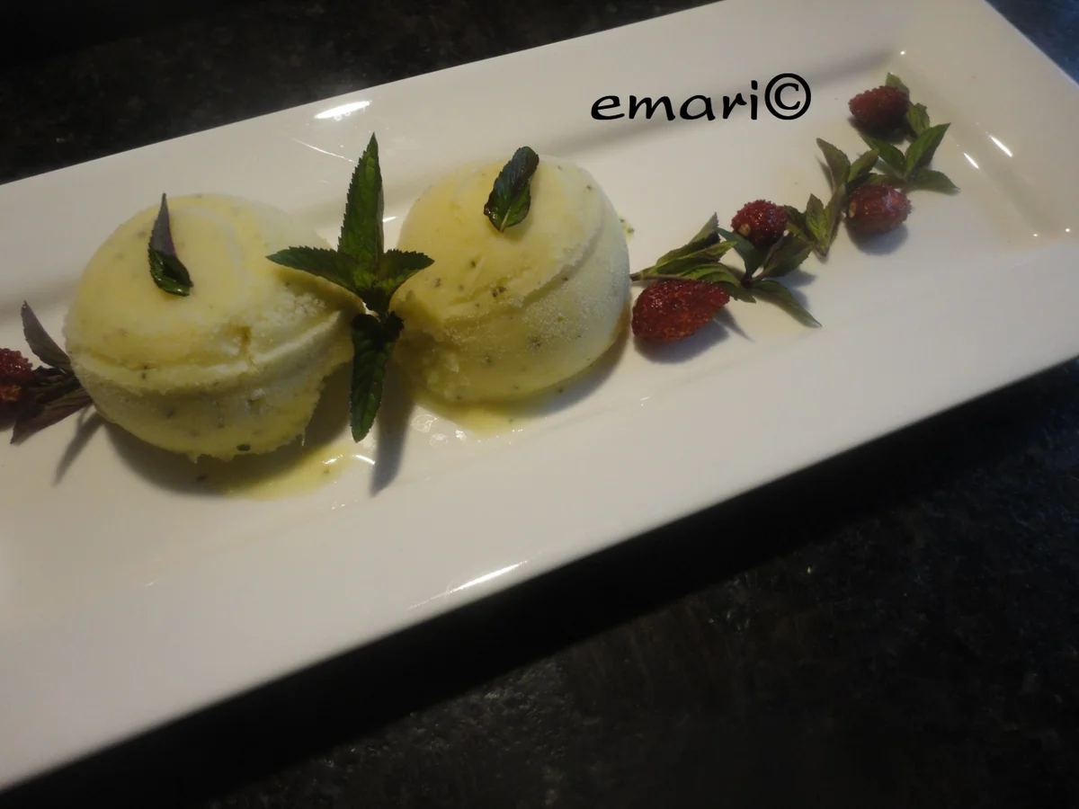 Mango Eis mit Schokolademinze - Rezept - Bild Nr. 24