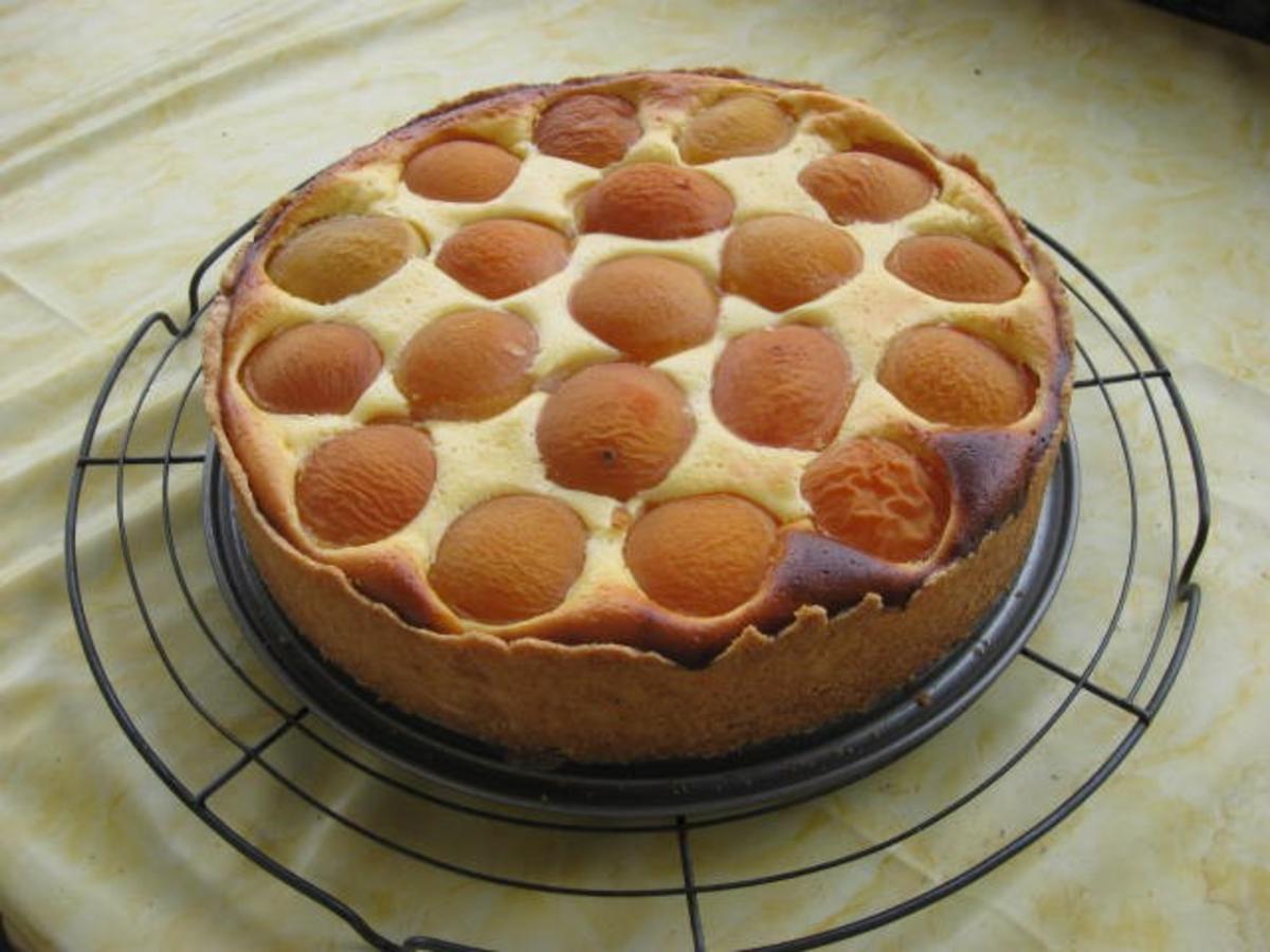 Quark Aprikosen Kuchen - Rezept mit Bild - kochbar.de