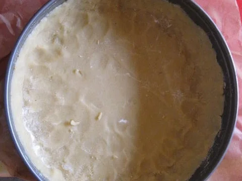 Rezept: Quark Aprikosen Kuchen Bild Nr. 580 Quark Aprikosen Kuchen - Rezept - Bild Nr. 580