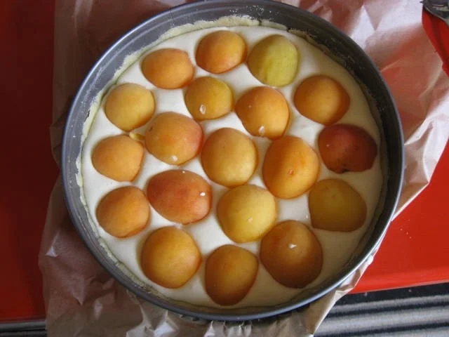 Rezept: Quark Aprikosen Kuchen Bild Nr. 582 Quark Aprikosen Kuchen - Rezept - Bild Nr. 582