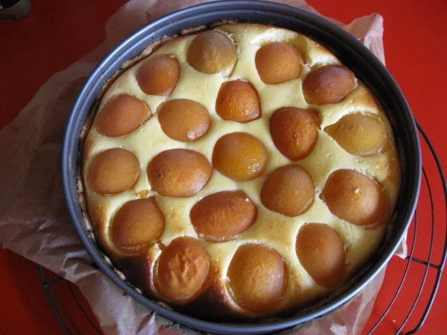 Rezept: Quark Aprikosen Kuchen Bild Nr. 583 Quark Aprikosen Kuchen - Rezept - Bild Nr. 583