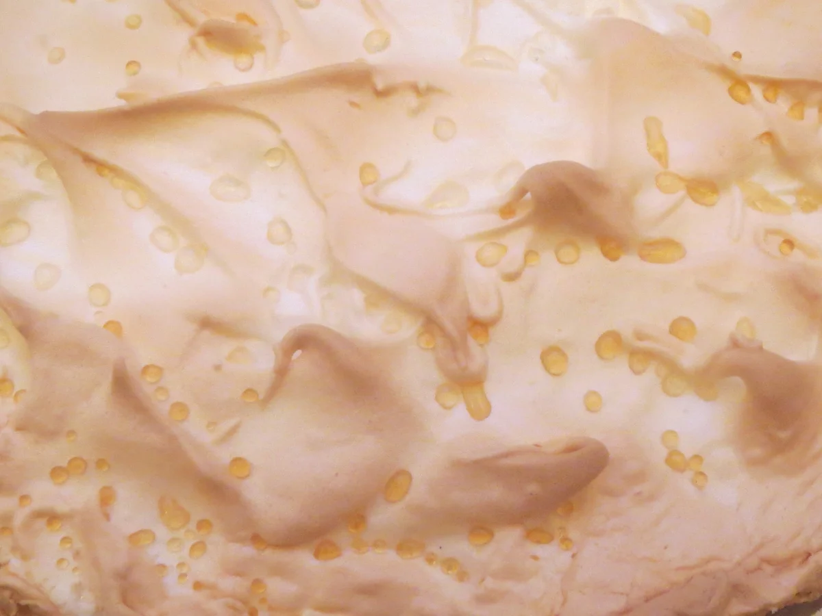 Backen: Tränchentorte mit Dinkelboden - Rezept - Bild Nr. 576