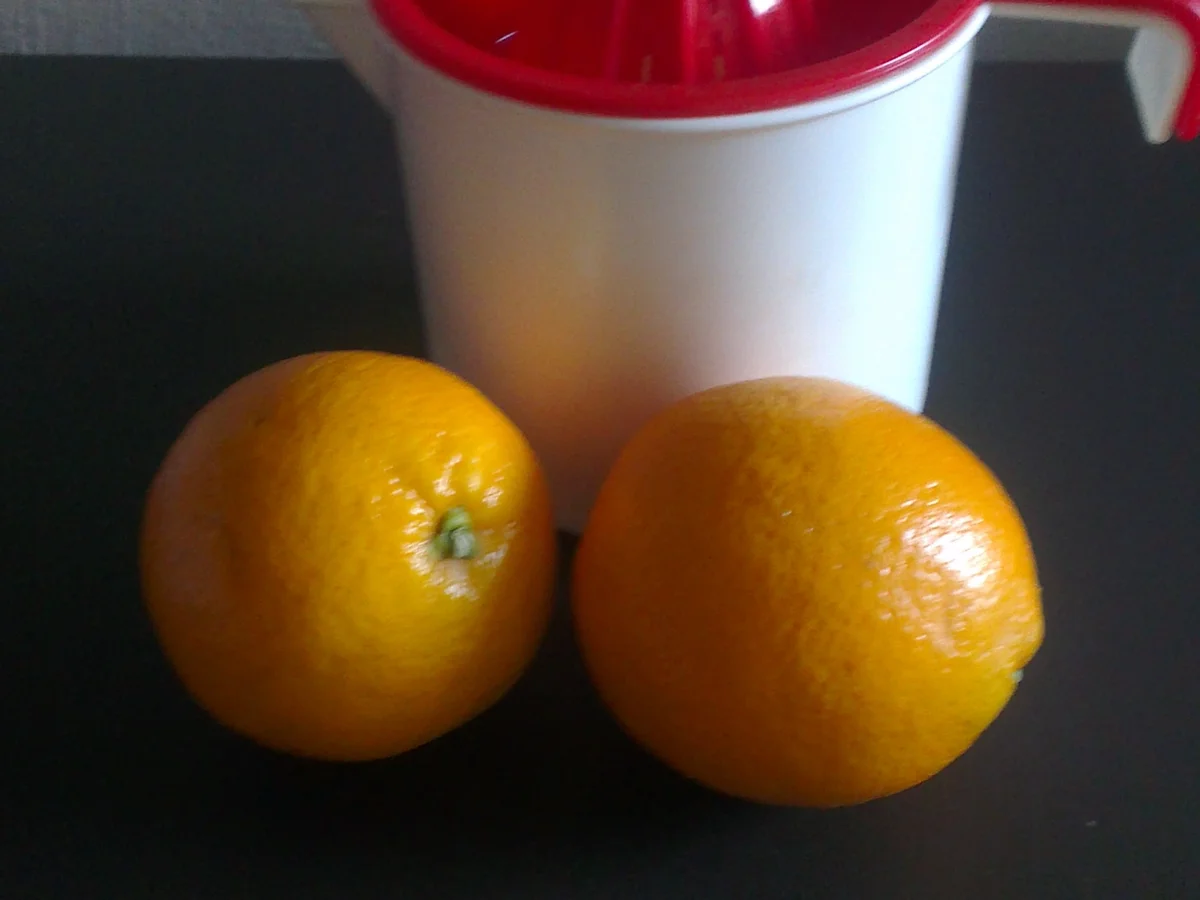 geschmorte Rinderrouladen in Orangensoße - Rezept - Bild Nr. 575