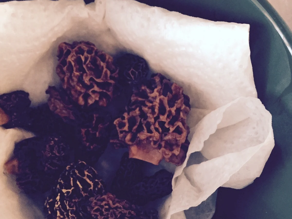 Rezept: Seeteufelbäckchen-Lachs mit Gemüse-Chili-Couscous Bild Nr. 7 Seeteufelbäckchen-Lachs mit Gemüse-Chili-Couscous - Rezept - Bild Nr. 7