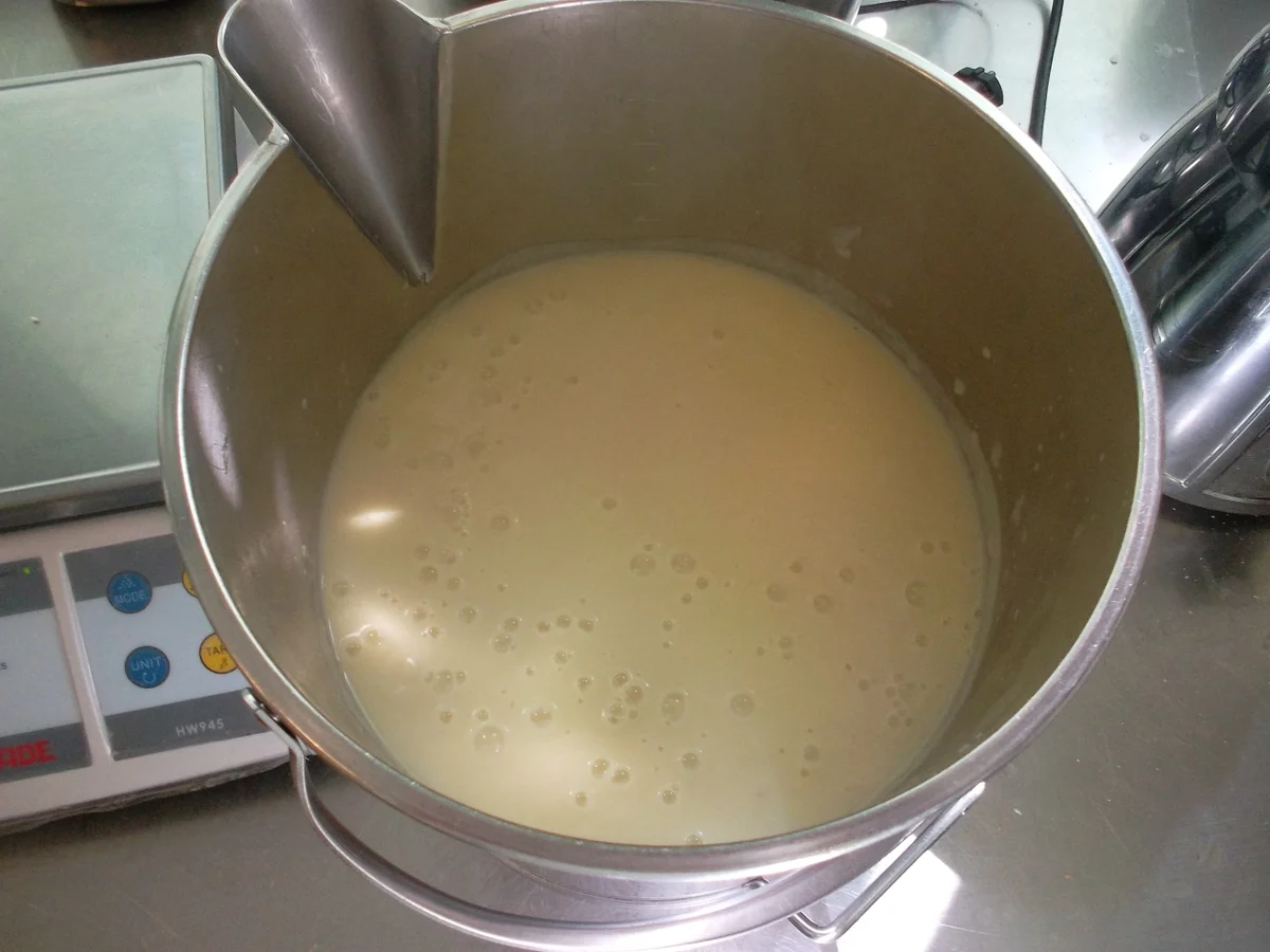 Sellerie -  Apfelsüppchen - Rezept - Bild Nr. 28