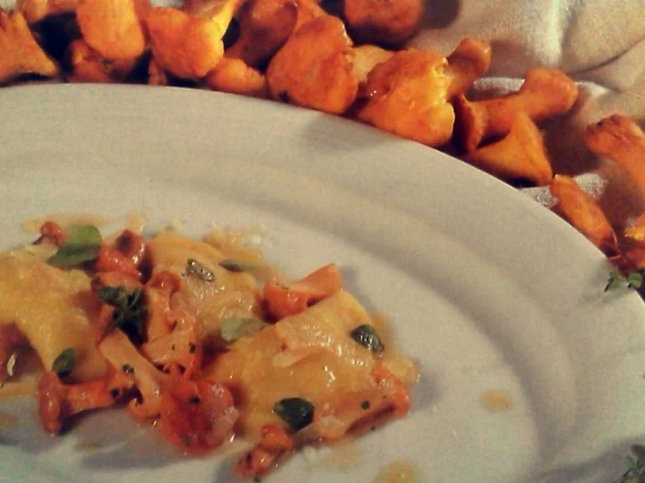 Kartoffelteigkrapfen mit Pifferlingen - Rezept - Bild Nr. 30